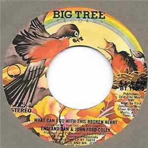 England Dan & John Ford Coley - What Can I Do With This Broken Heart FLAC album