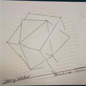 Gunhild Seim - Story Water FLAC album