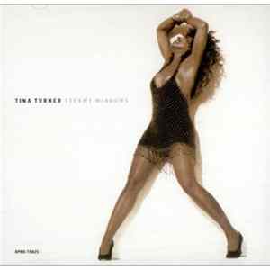 Tina Turner - Steamy Windows FLAC album