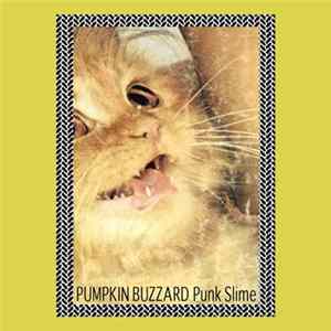Pumpkin Buzzard - Punk Slime FLAC album