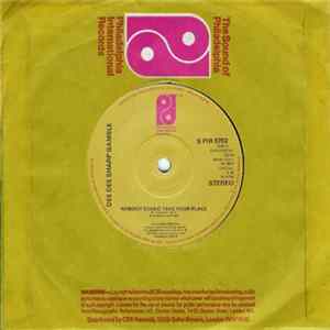 Dee Dee Sharp Gamble - Nobody Could Take Your Place FLAC album