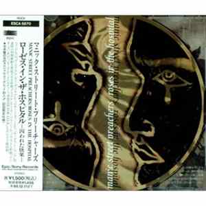 Manic Street Preachers - Roses In The Hospital FLAC album