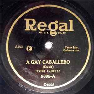Irving Kaufman / Billy Jones And Ernest Hare (The Happiness Boys) - A Gay Caballero / Etiquette Blues FLAC album