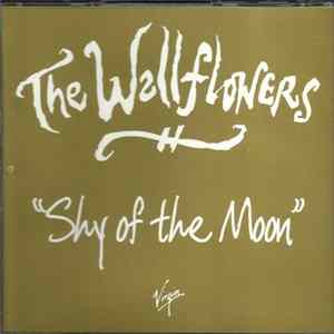 The Wallflowers - Shy Of The Moon FLAC album