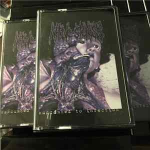 Active Stenosis - Succumbed To Infection FLAC album