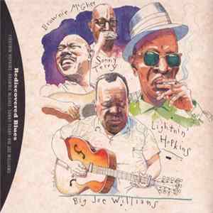 Various - Lightnin' Hopkins, Brownie McGhee, Sonny Terry, Big Joe Williams - Rediscovered Blues FLAC album