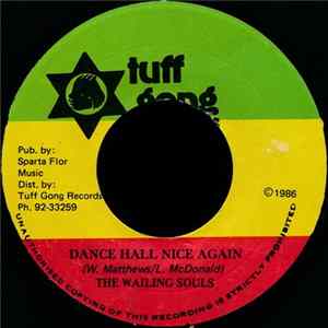 The Wailing Souls - Dance Hall Nice Again FLAC album