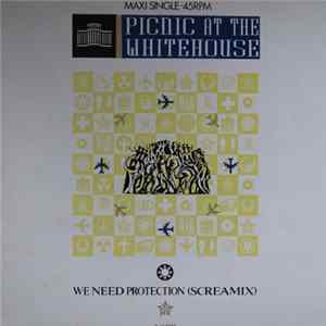Picnic At The Whitehouse - We Need Protection (Screamix) FLAC album