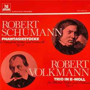 Robert Schumann, Robert Volkmann - Gorjan Trio - Phantasiestücke / Trio in B-Moll FLAC album