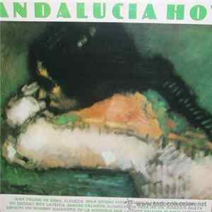 Various - Andalucia Hoy FLAC album