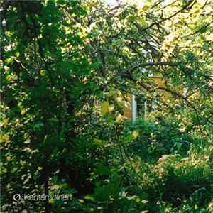 Ø - Kantamoinen FLAC album