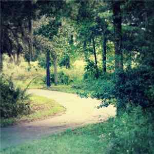 Cobalt Rabbit - Always Waiting FLAC album