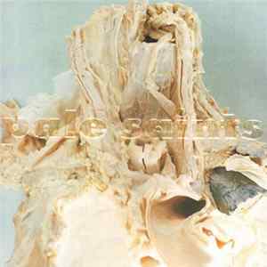 Pale Saints - In Ribbons FLAC album