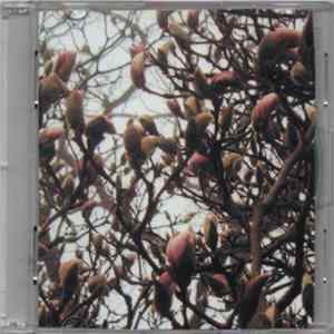 Diaphragm - Six Month Horizons FLAC album
