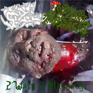 ToadTurdMassacre, Sperm Massacre - 2 Ways 2 Massacre FLAC album