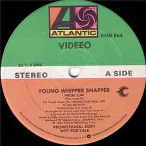 Videeo - Young Whipper Snapper FLAC album