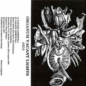 Organum - Vacant Lights FLAC album