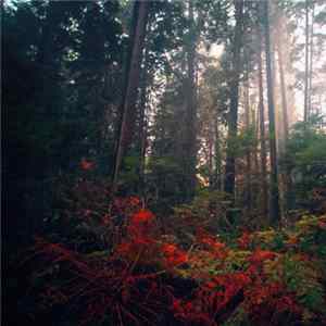North Takoda - Rainy Day EP FLAC album