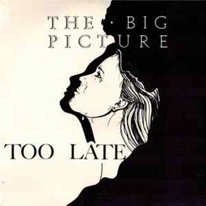 The Big Picture - Too Late FLAC album