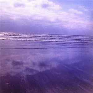 Wah Wah Exit Wound - VIbrational Osmosis FLAC album