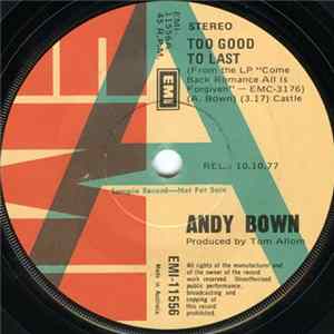 Andy Bown - Too Good To Last FLAC album