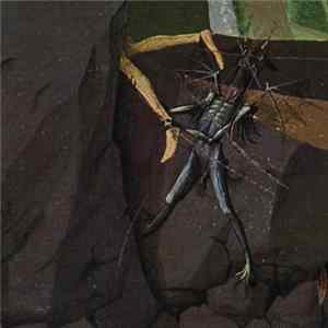 Danava - Hemisphere Of Shadows FLAC album