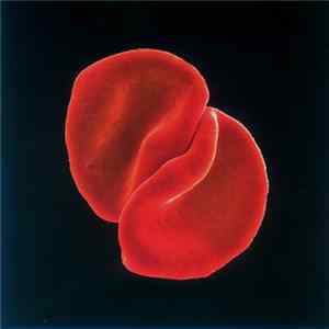 Peter Gabriel - Scratch My Back FLAC album