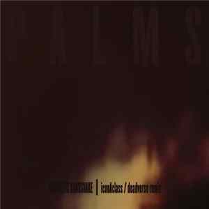 Palms - Antarctic Handshake (IconAclass/deadverse Remix) FLAC album