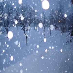 The Bewitched - Wintertime FLAC album