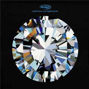 Dodgy - What Are We Fighting For FLAC album