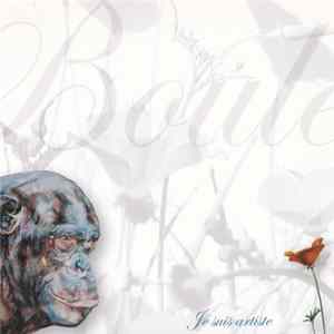 Boule - Je Suis Artiste FLAC album