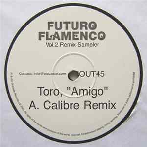Toro - Future Flamenco Vol.2 Remix Sampler FLAC album
