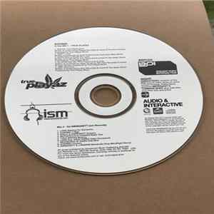 True Playaz & DJ Swingsett - Breakin Point Interactive FLAC album