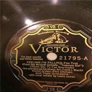 Victor Arden-Phil Ohman And Their Orchestra - Feeling I'm Falling / Got A Rainbow FLAC album