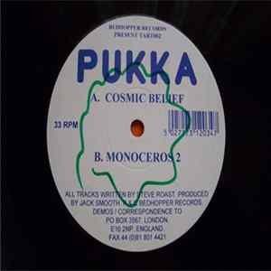 Pukka - Cosmic Belief FLAC album