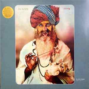 DJ Koze - Reincarnations Part 2 FLAC album