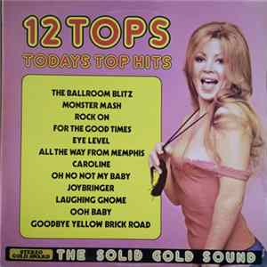 Unknown Artist - 12 Tops - Todays Top Hits FLAC album