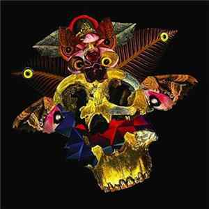 Terror Bird - Shame Is On Your Side FLAC album