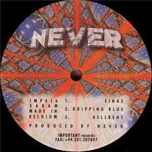 Never - Singe FLAC album
