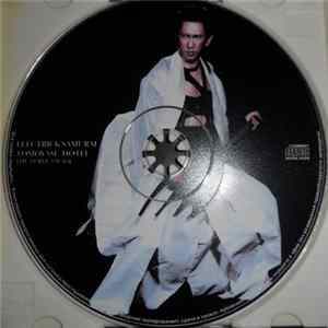 Tomoyasu Hotei - Electric Samurai FLAC album