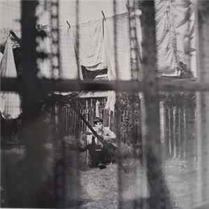 Paul McCartney - Chaos And Creation In The Backyard FLAC album