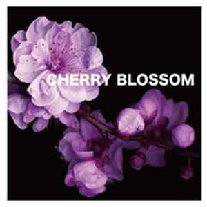 Toshi - Cherry Blossom FLAC album