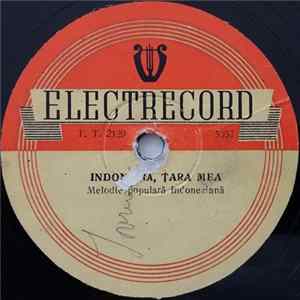 Unknown Artist / Rodion Hodovanschi - Indonezia, Țara Mea / Clopotele FLAC album