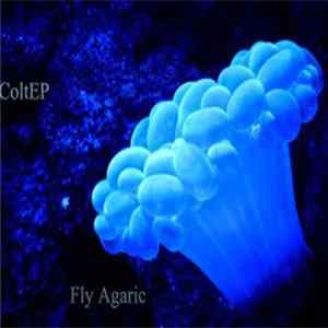 ColtEP - Fly Agaric FLAC album