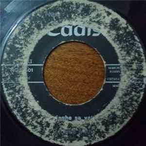 Bachisio Virdis - S'Autista In Gonna FLAC album