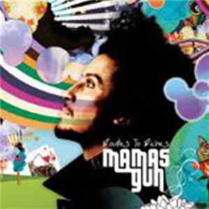 Mamas Gun - Routes To Riches FLAC album