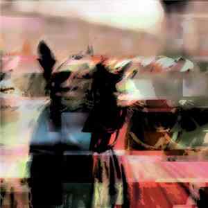 No-Joy - Horse Digital Noise FLAC album