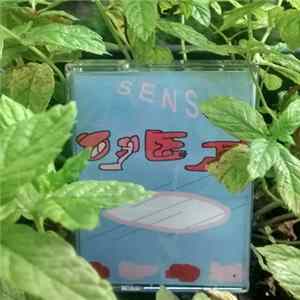 Loto Retina - Sens FLAC album
