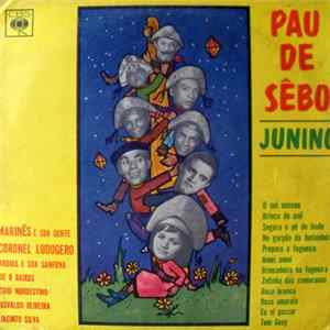 Various - Pau de Sêbo Junino FLAC album