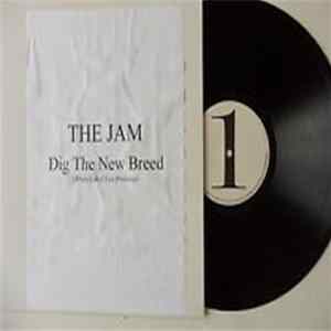 The Jam - Dig The New Breed FLAC album
